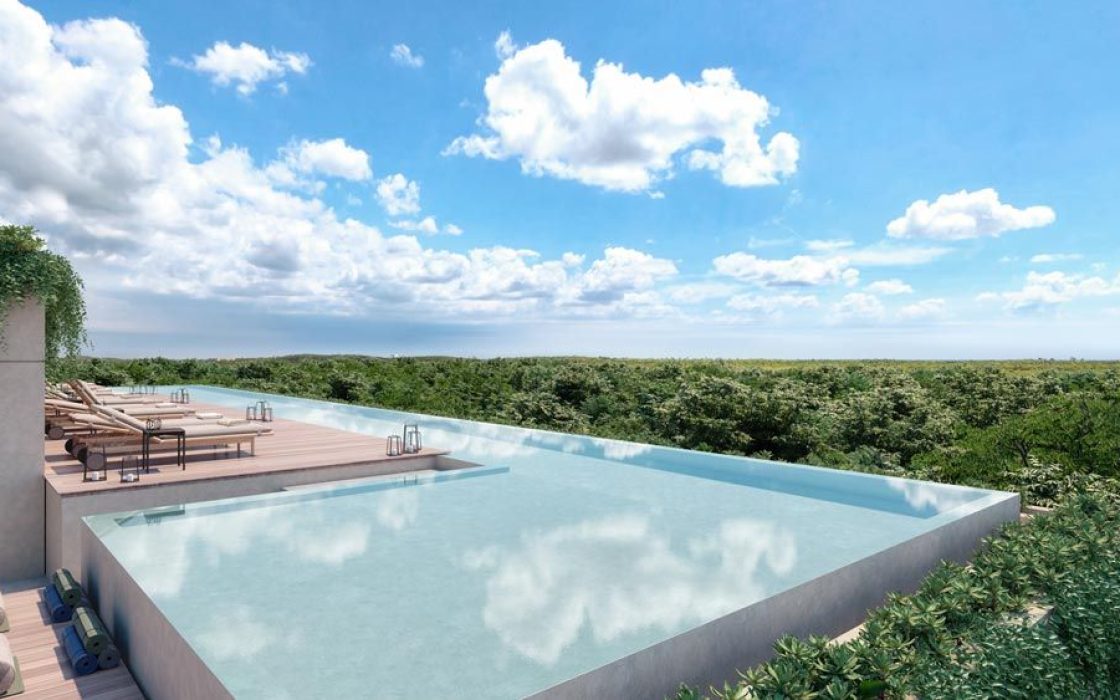 Samsara – Jaguar Park